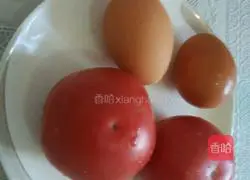 Illustration of how to make tomato fried egg rice bowl 1