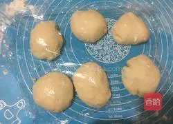 Illustration of how to make hamburger embryos 9