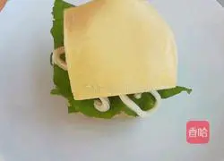 Big Mac Chinese Hamburger Recipe Illustration 9