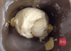 Illustration of how to make hamburger embryos 6