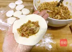 Illustration of how to make family version of pot stickers 7