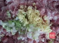 Winter Melon Pot Stickers Recipe Illustration 3