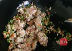 Chicken Spring Roll Recipe Illustration 5