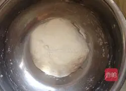 Illustration of braised noodles 3