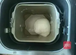 Illustration of how to make hamburger embryos 3