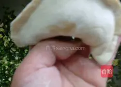 Leek Box Recipe Illustration 3