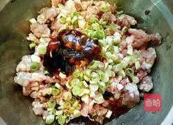 Zucchini box recipe 3