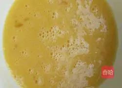 Spring Roll Vegetarian Recipe Illustration 2