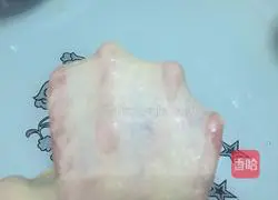 Illustration of how to make hamburger embryos 5