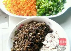 Illustration of homemade Vietnamese-style spring rolls 1