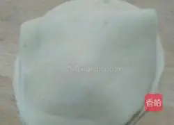 Illustration of how to make fennel meat box 15