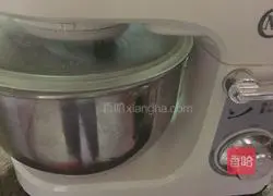 Illustration of how to make hamburger embryos 8