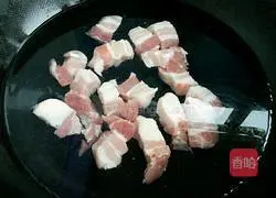 Illustration of Braised Pork and Bean Noodles 3