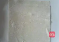 Illustration of homemade spring rolls 2