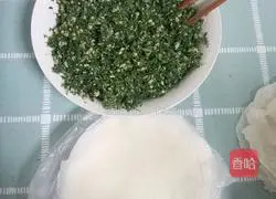 Illustration of how to make fried spring rolls 1