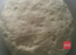 Illustration of how to make leek box 1