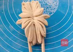 Lotus roll Illustration of practice 14