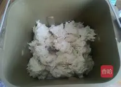 Illustration of how to make hamburger embryos 2