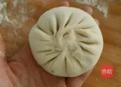 Pork and Cabbage Pie Recipe Illustration 13