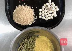 Illustration of how to make lily, lotus seed and mung bean porridge (coarse grains) 1