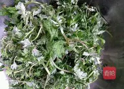 Illustration of the Youth League's practices 1