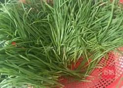 Leek Box Recipe Illustration 1