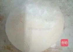 Illustration of how to make Leek Box… 1