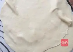 Spring roll recipe 4