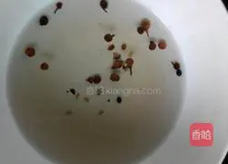 Leek Box Recipe Illustration 3