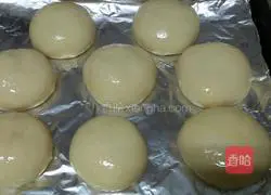 Illustration of how to make hamburger embryos 10