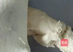 Illustration of how to make basic hamburger embryos 2