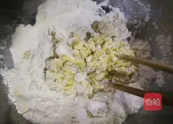 Coconut hamburger embryo (Polish species) recipe 3