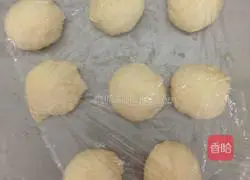 Chicken Burger Illustration of how to make embryos 3