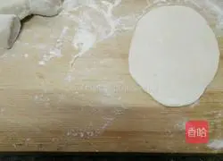 Illustration of how to make vegetarian pot stickers 7