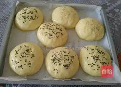 Illustration of how to make hamburger embryos 8