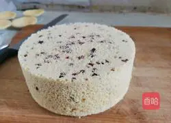 Cranberry millet cake recipe 11