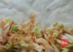 Illustration of how to make fried spring rolls 3