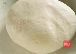 How to make pork and cabbage pot stickers Illustration 1