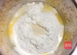 Illustration of how to make hamburger embryos 3