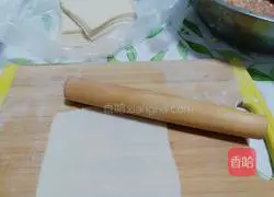 Illustration of homemade colorful vegetable spring rolls 5