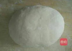 Illustration of how to make leek and cabbage box 1