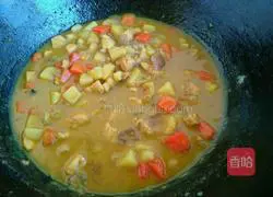 Illustration of how to make curry chicken and dolphin rice balls 16