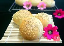 Illustration of how to make hamburger embryos 11