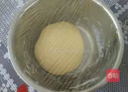 Illustration of how to make hamburger embryos 5