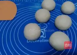 Illustration of the lazy version of hamburger embryo (one-time fermentation) 7