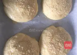 Hamburger embryo (hand-kneaded dough version) Practice illustration 9