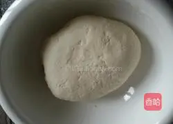 Illustration of how to make pot stickers 2
