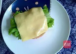 Crispy Chicken Cheeseburger Recipe Illustration 8