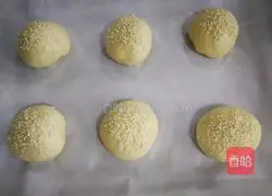 Illustration of how to make coconut hamburger embryos (Polish species) 8