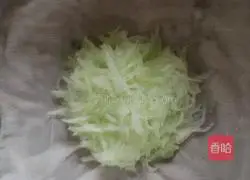 How to make pot stickers with winter melon stuffing 2